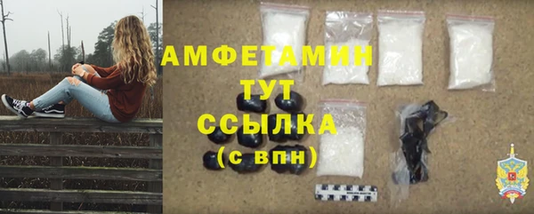 твердый Козельск