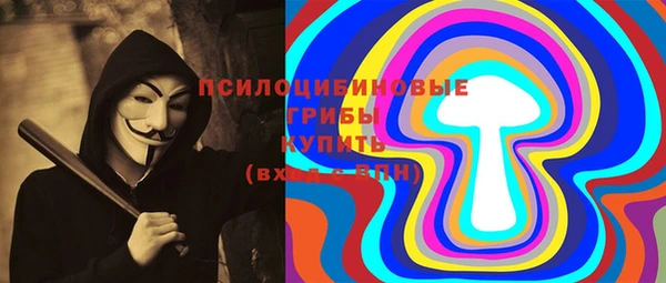 СК Кодинск