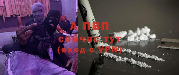 твердый Козельск