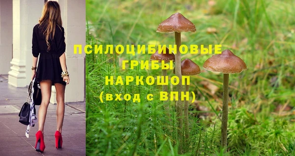 спайс Козловка