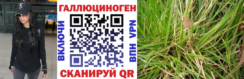 Купить  Разумное  Галлюциногенные грибы Cubensis 